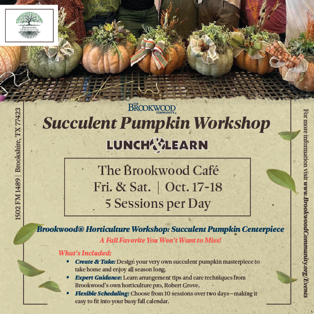 Succulent Pumpkin Workshop Oct 17 & 18