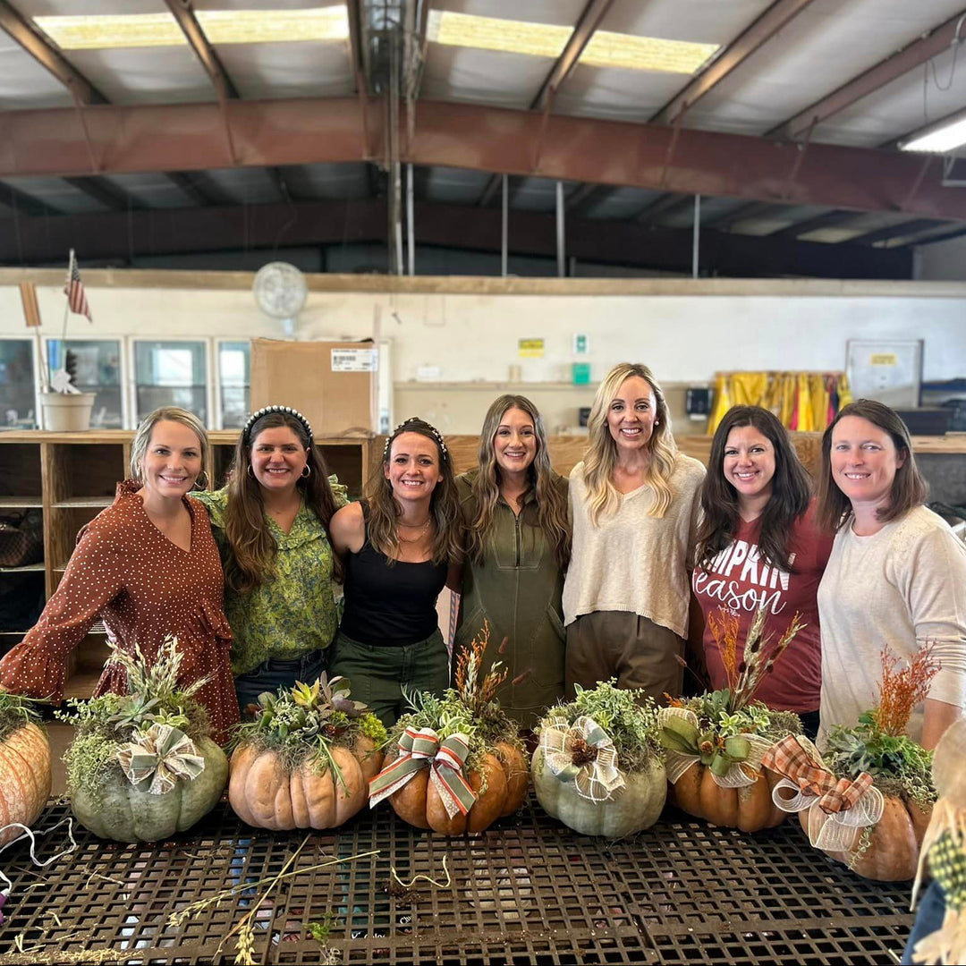 Succulent Pumpkin Workshop Oct 9-10