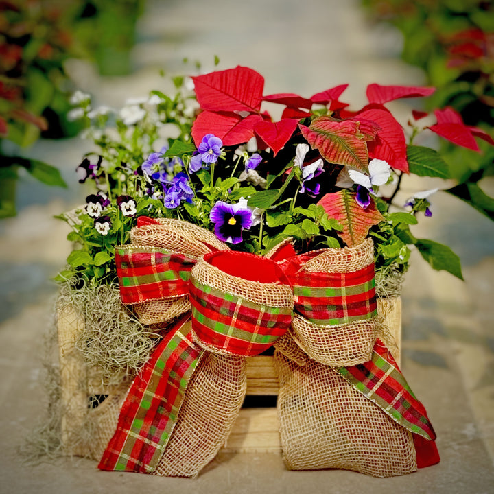 Plant Gift Basket