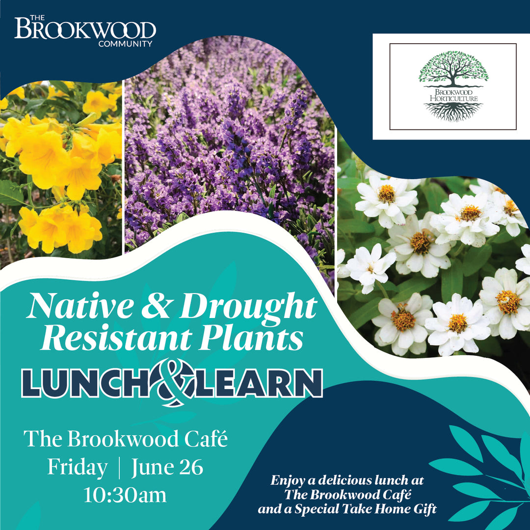 Native Drought Resistant Plants Lunch &amp; Learn June 26