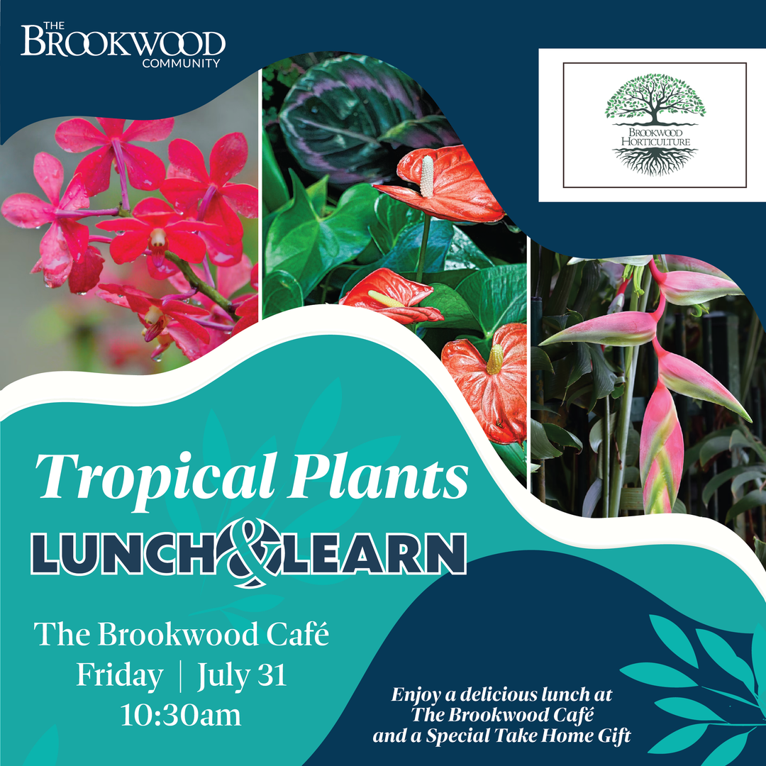 Tropical Plants Lunch & Learn July 31