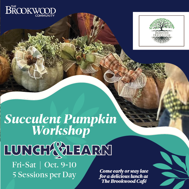 Succulent Pumpkin Workshop Oct 9-10