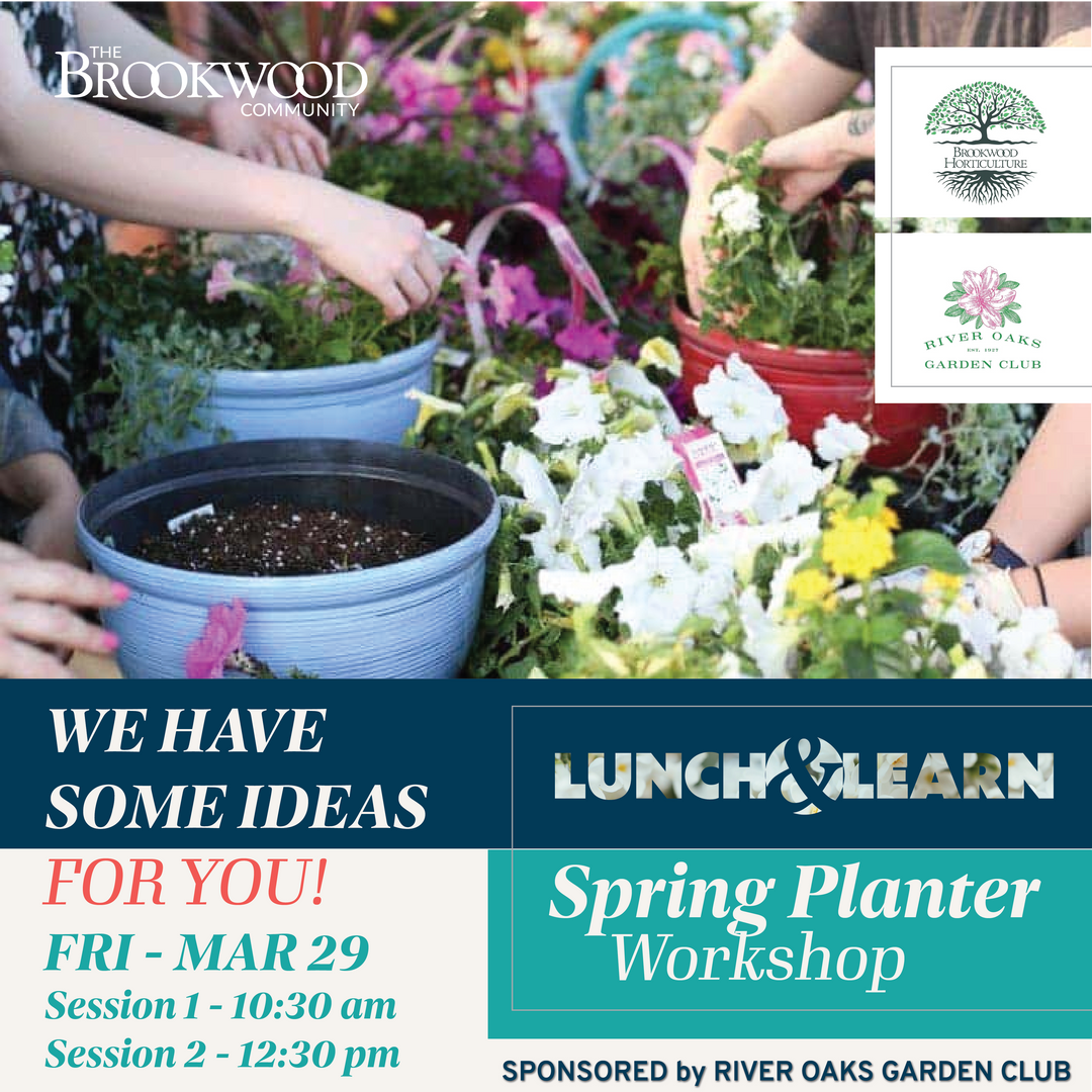 Spring Container Workshop Lunch & Learn 2024