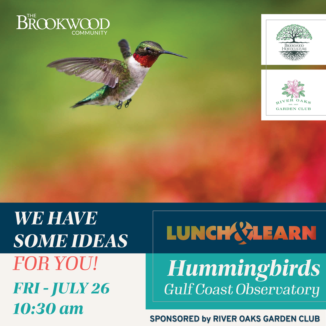 Hummingbird Lunch & Learn July 26