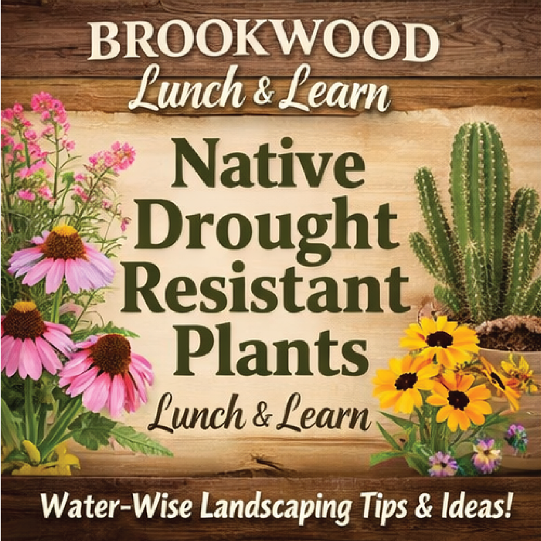 Native Drought Resistant Plants Lunch & Learn June 26