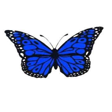 Note Card Butterfly Blue Pack of 10