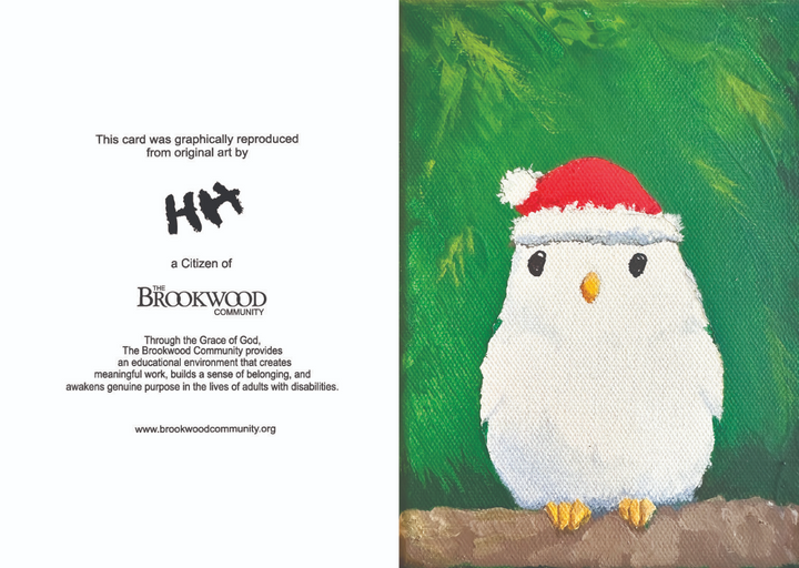 Card Christmas Hat Owl Pack 10 *CM