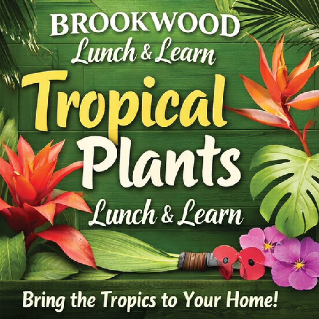 Tropical Plants Lunch & Learn July 31