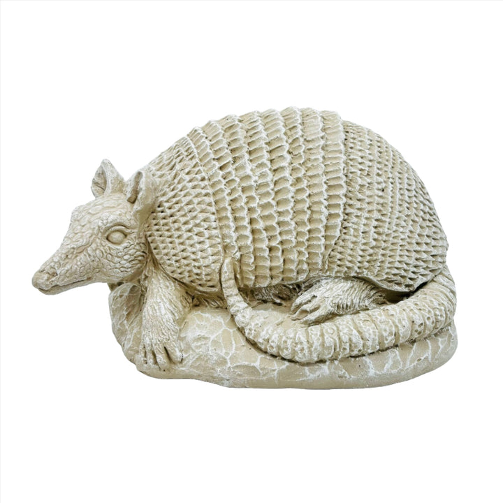 Armadillo On The Rock Statue Driftwood *CM