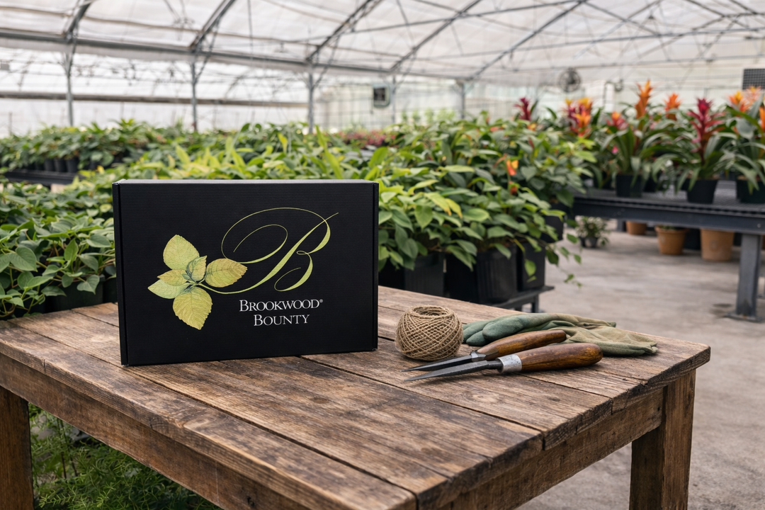 BW Horticulture Gift Box