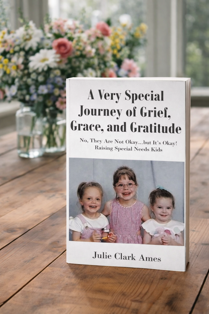 Book A Very Special Journey Of Grief Grace And Gratitude