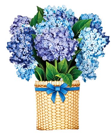 MINI Nantucket Hydrangea