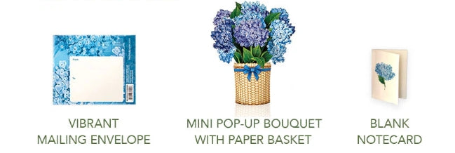 MINI Nantucket Hydrangea