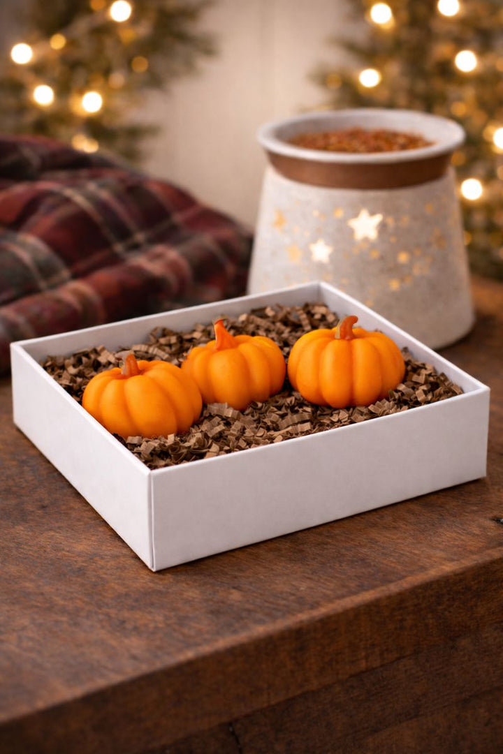 Wax Melts Flannel Pumpkin Fall *CM 50% Off