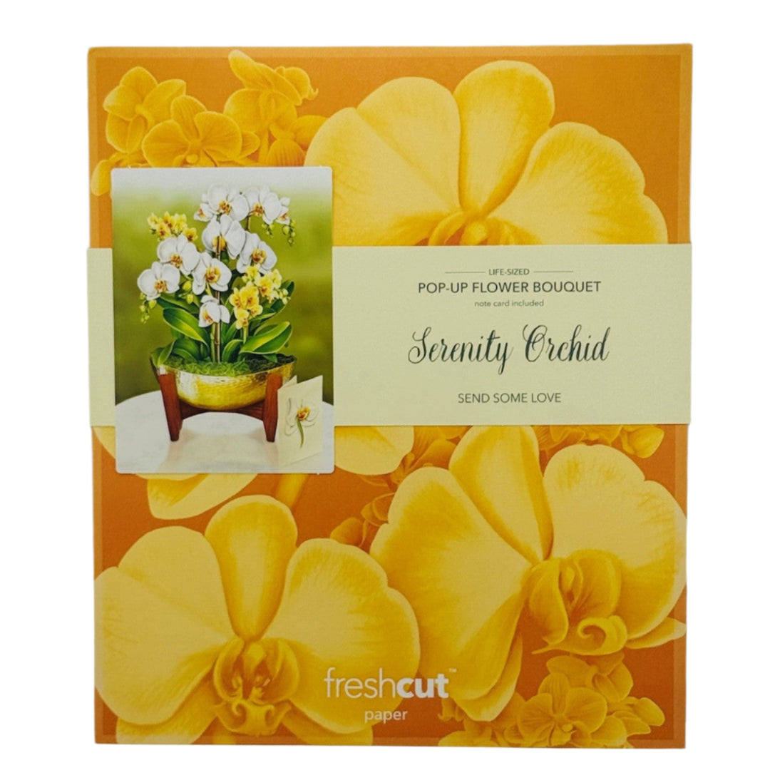 serenity  orchid large fresh cut 