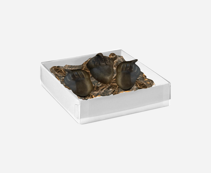 Wax Melt Cinnamon Acorn *CM 50% Off
