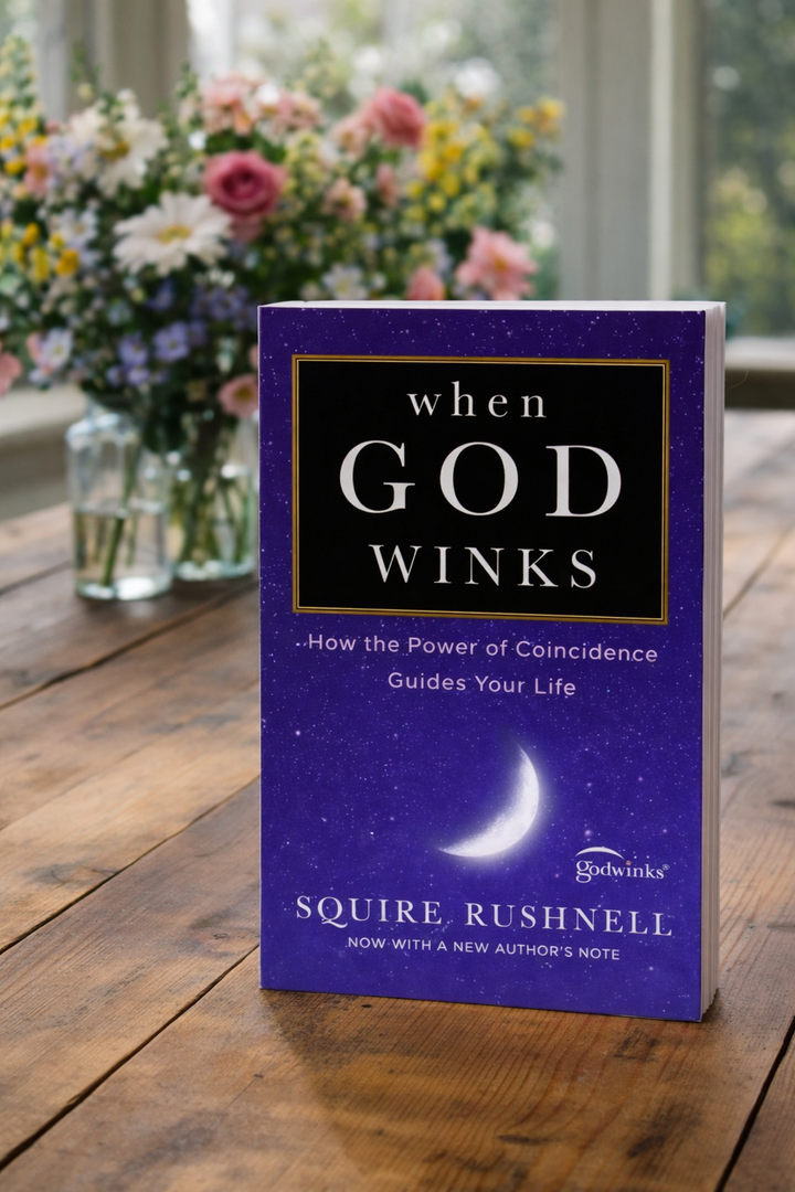 Book: When God Winks (Paperback)