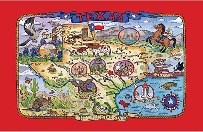 Dishtowel Texas Map
