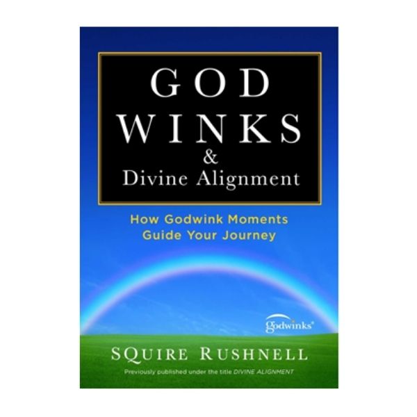 Book: Godwinks & Divine Alignment (Paperback)