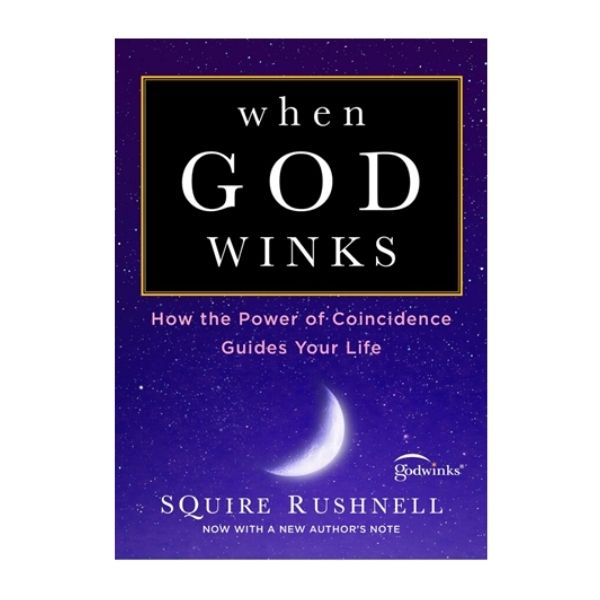 Book: When God Winks (Paperback)